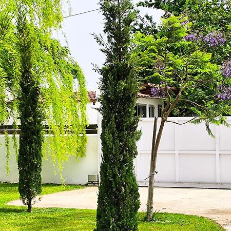 Apartament Seaside Jacaranda Schinias Zewnętrze zdjęcie