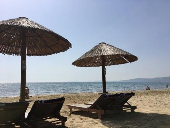Apartament Seaside Jacaranda Schinias Zewnętrze zdjęcie