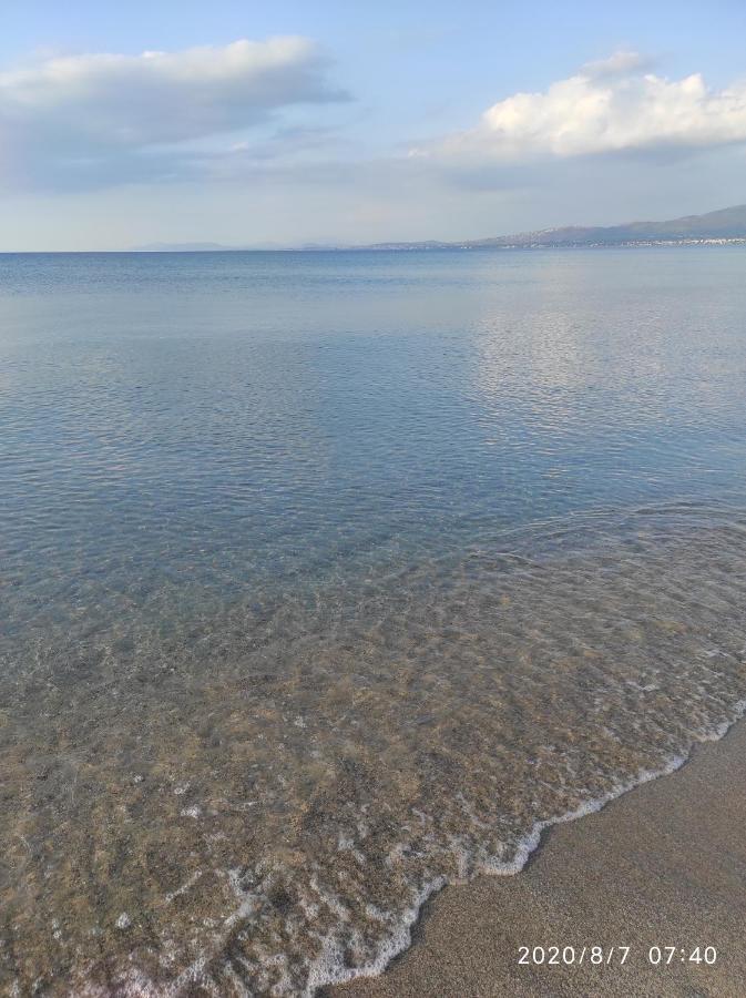 Apartament Seaside Jacaranda Schinias Zewnętrze zdjęcie
