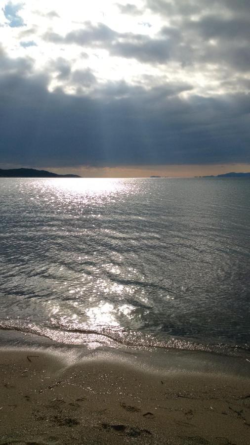Apartament Seaside Jacaranda Schinias Zewnętrze zdjęcie