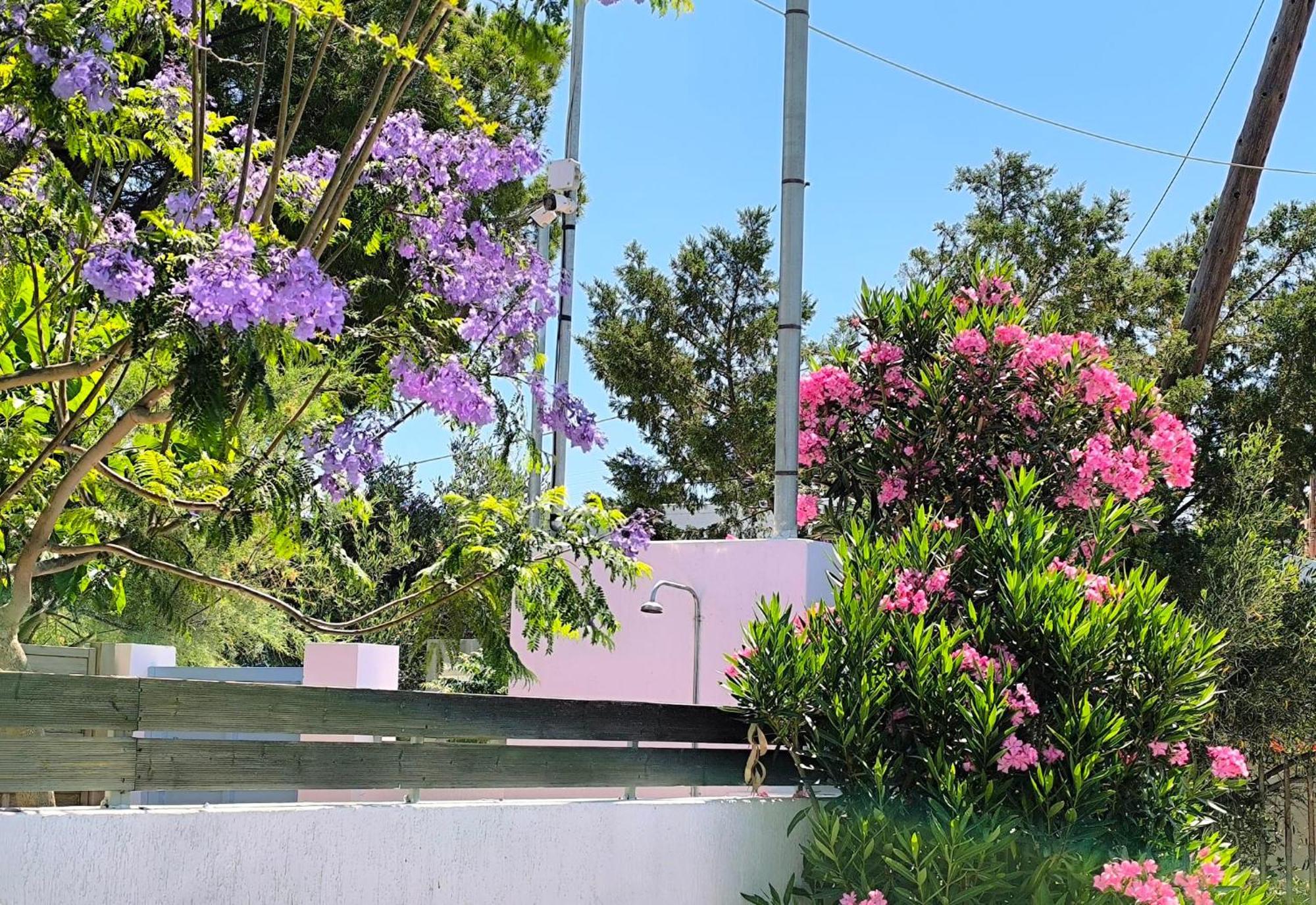 Apartament Seaside Jacaranda Schinias Zewnętrze zdjęcie